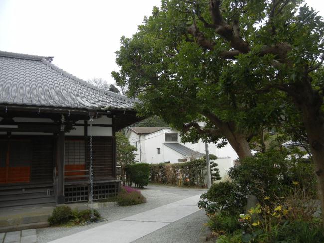 DSCN6779.JPG