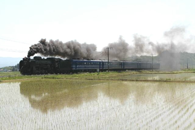  東北 釜石線 D51試運転 初夏2