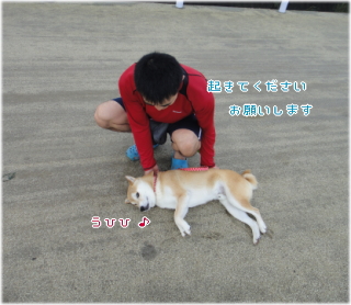 ken願い2.jpg