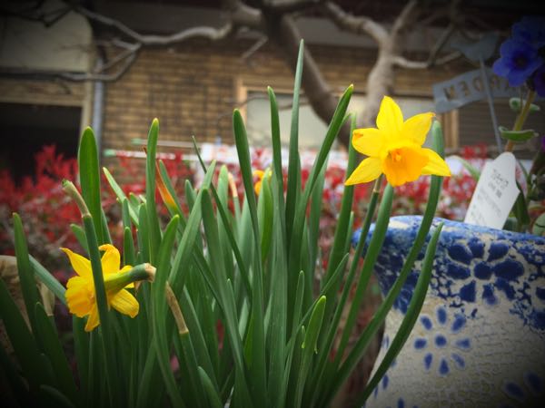 rblog-20160328170802-08.jpg