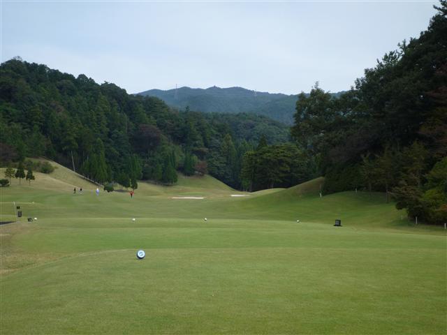 P1090022.jpg