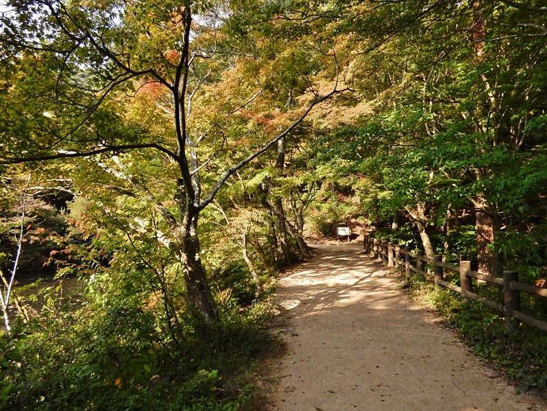 長谷池11.JPG