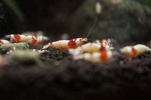 2015052506.JPG