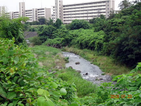 松枝団地.jpg