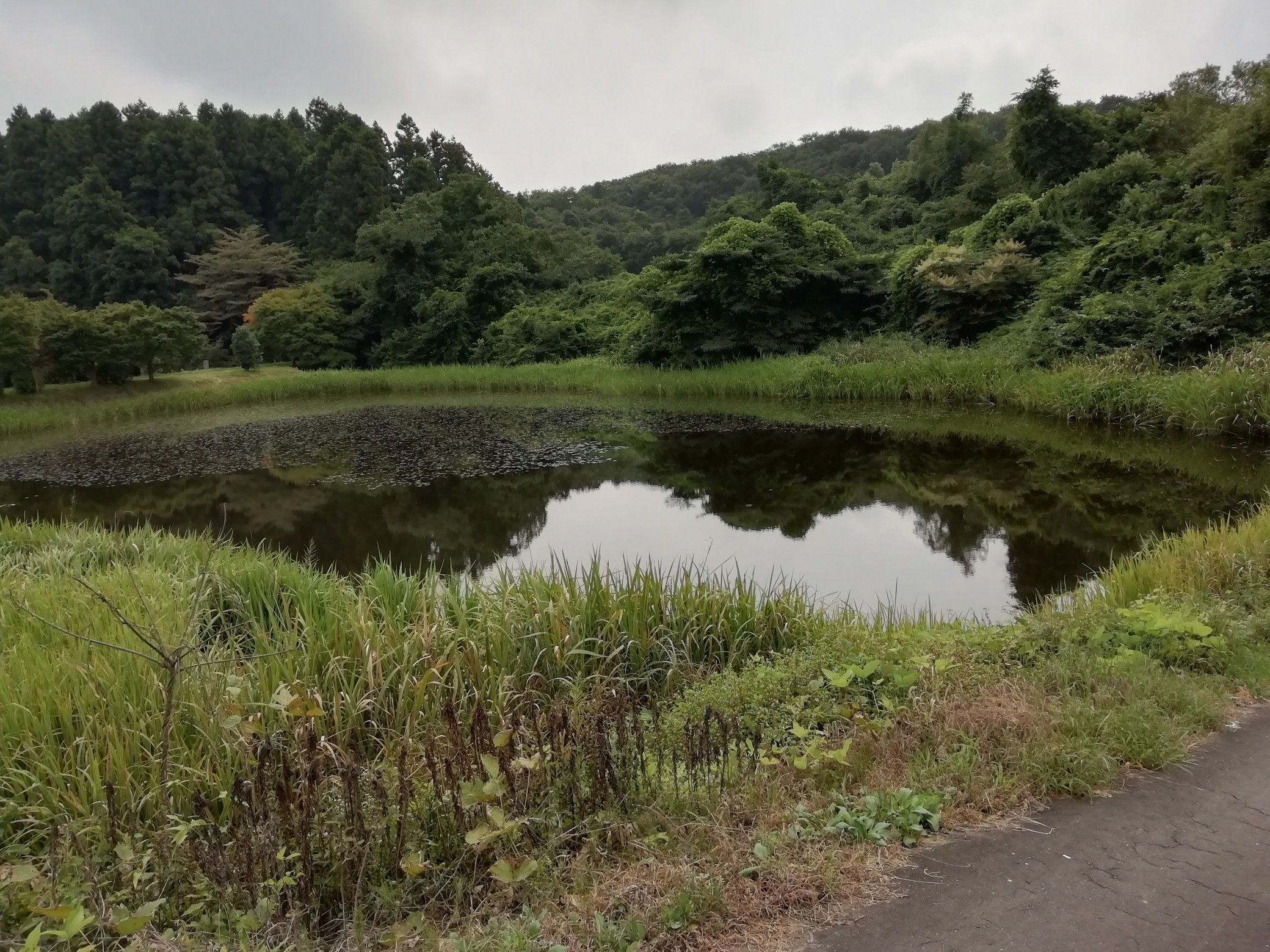 バス釣り 栗原市高清水 瀬峰 備忘録 楽天ブログ