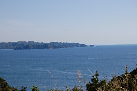DSC_0915.jpg