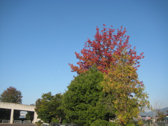 IMG_9751.JPG