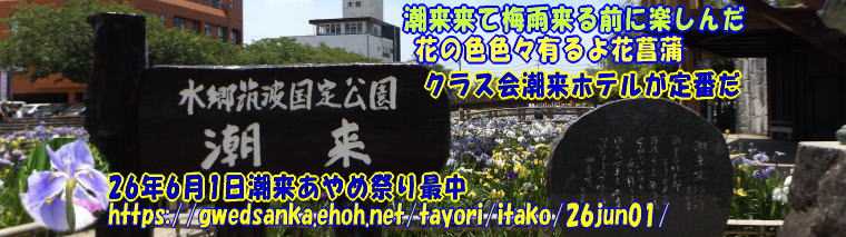 ご隠居８０