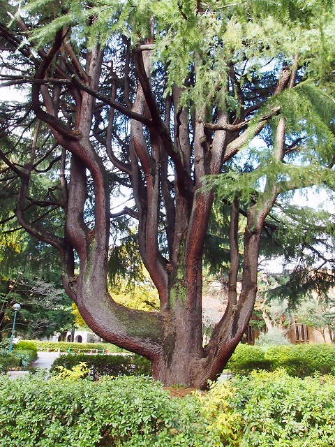 s-p2828.jpg