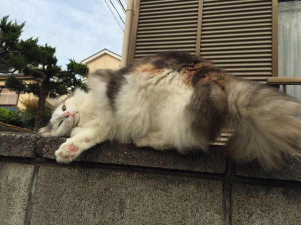 rblog-20160425153725-02.jpg
