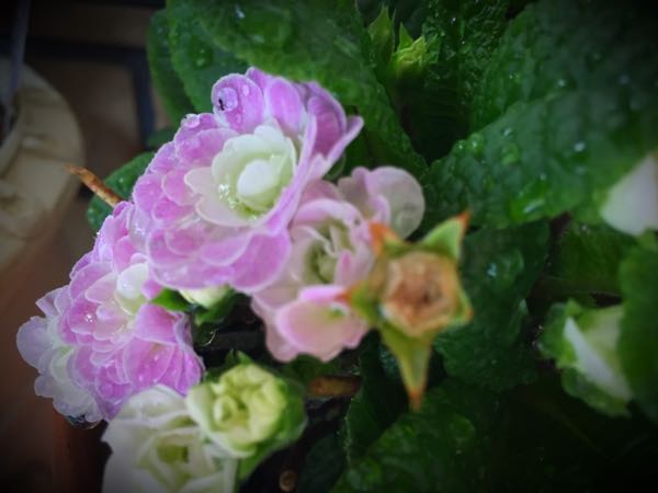 rblog-20160403105841-09.jpg