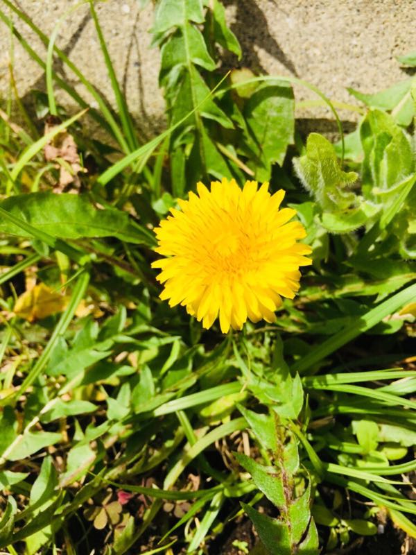rblog-20180326172543-03.jpg