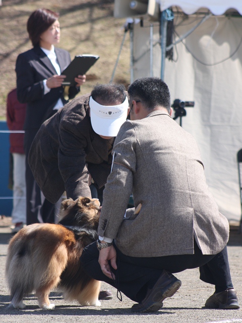 IMG_1025 - コピー.JPG