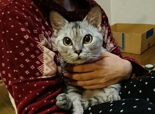 rblog-20181204221340-01.jpg