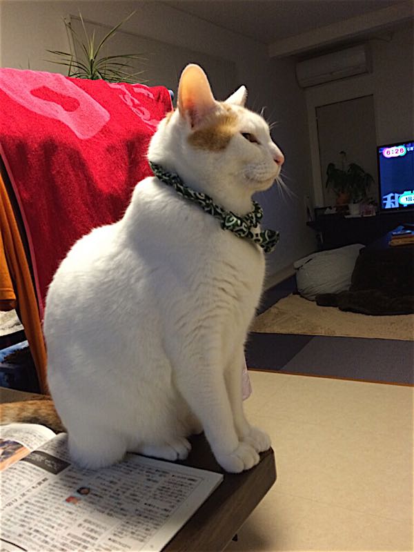 rblog-20141115063627-01.jpg