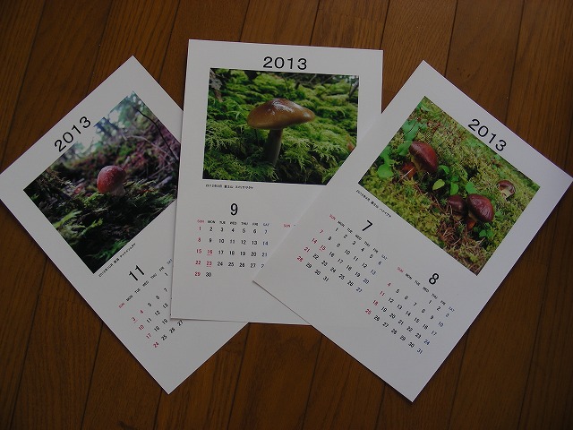 DSCN3516.jpg