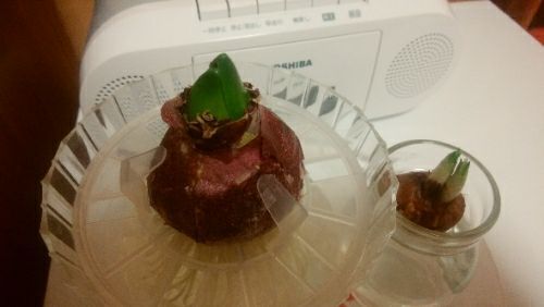 rblog-20171225231905-05.jpg