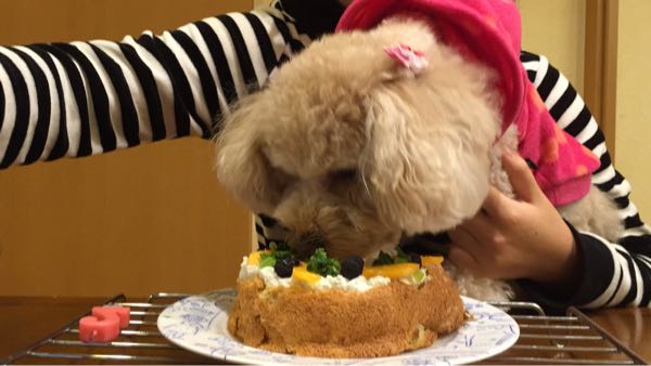 rblog-20151114213947-08.jpg