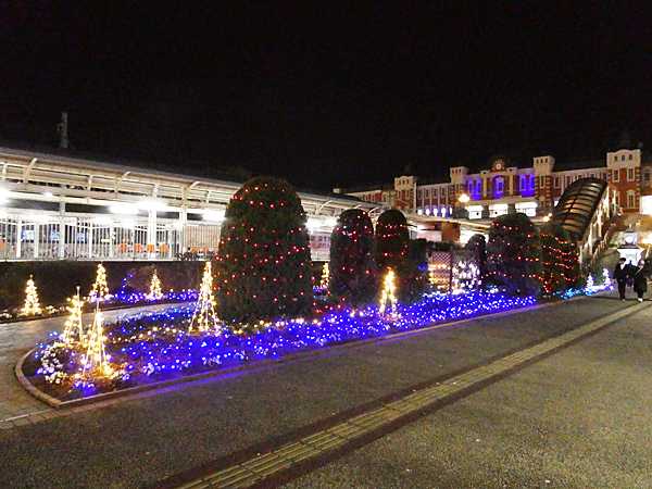 青淵公園と深谷駅前イルミネーション2025 | 見栄子の熊谷らいふ