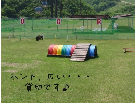 2013.5.26 ラン３.JPG