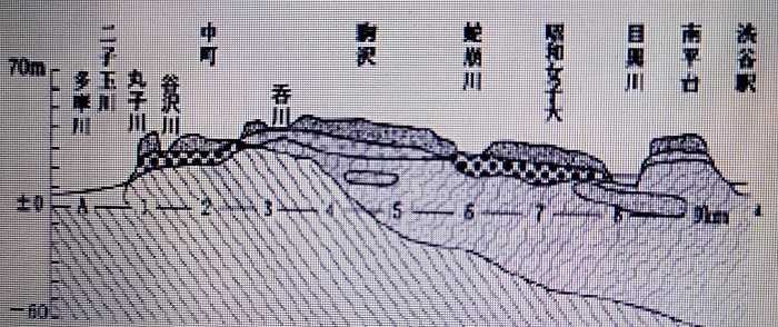 地域紹介]の記事一覧 | ¡ＨＯ・ＬＡ！ 「二子玉川」地区 - 楽天ブログ