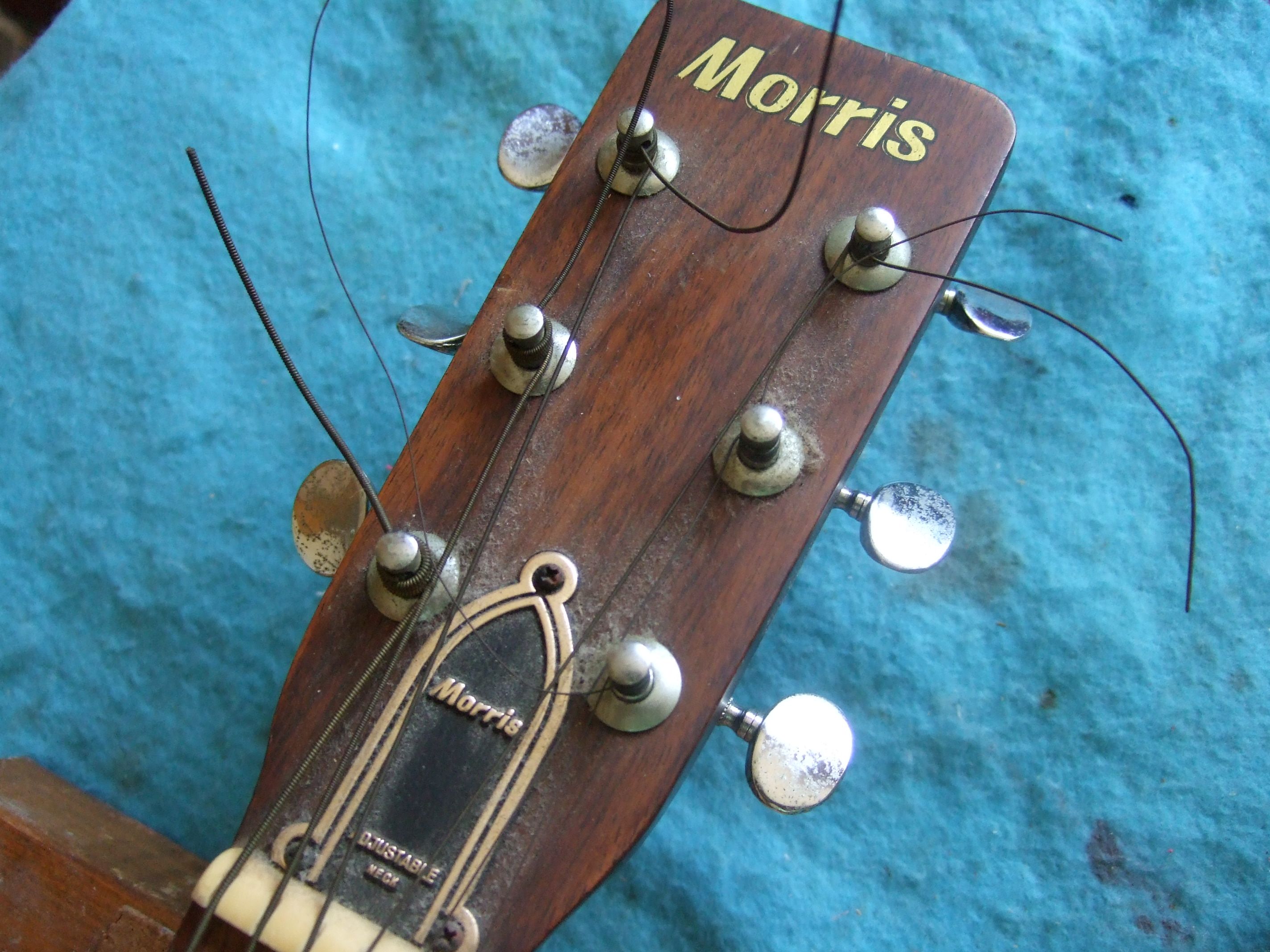 プレゼント サプライズ MORRIS ギター ジャンク - アコースティックギター