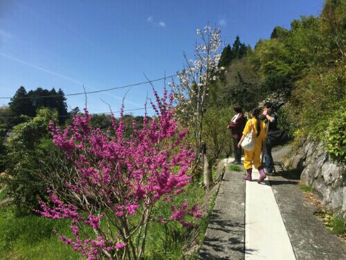 rblog-20160428070548-02.jpg