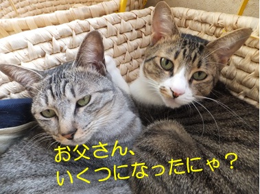 20121010_6.jpg