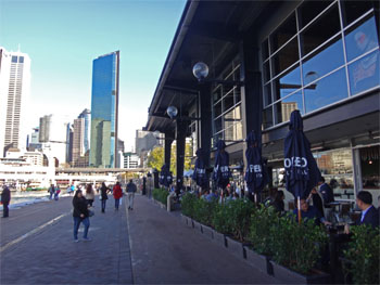 OZ1175.jpg