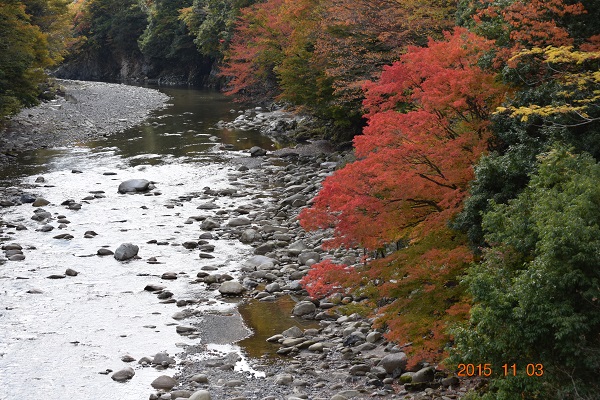 DSC_0136.JPG