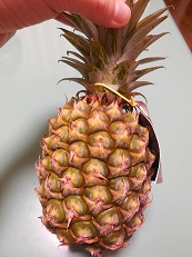 DSCN5518.JPG