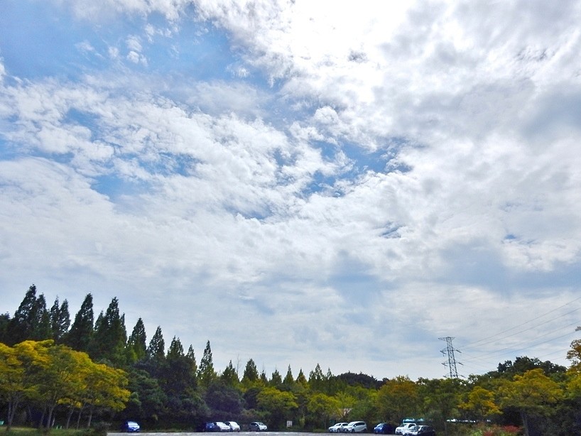 空2.JPG