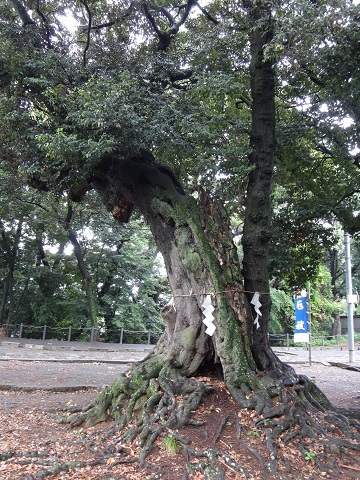 DSC09121.JPG