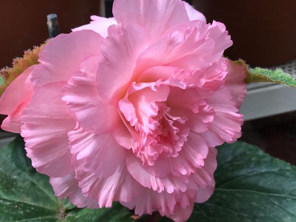 rblog-20170521205214-02.jpg