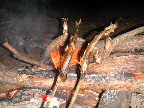 2012.09.01 020.jpg