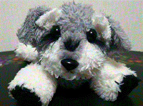 DSC_0917.gif