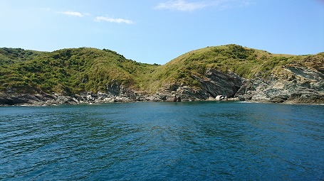 DSC_0091.jpg