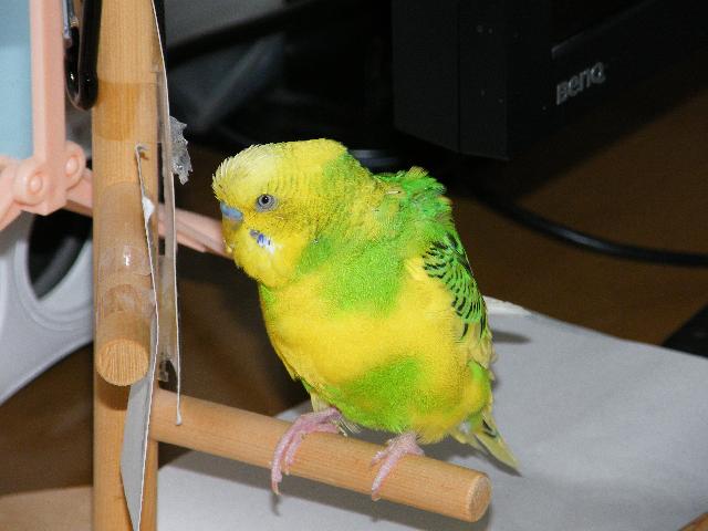 DSCF0314.jpg