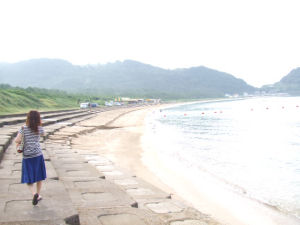 海
