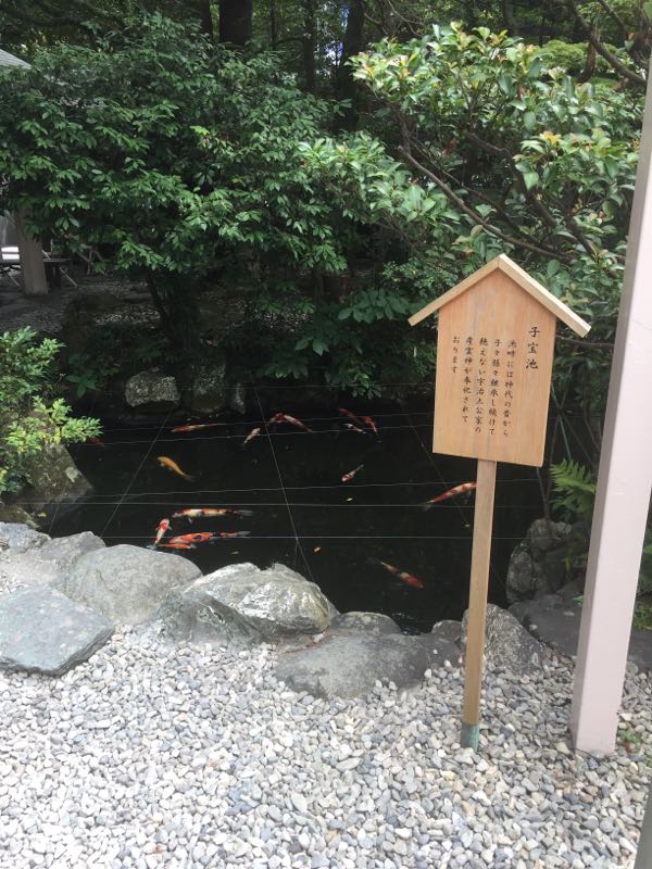 rblog-20180123095718-00.jpg