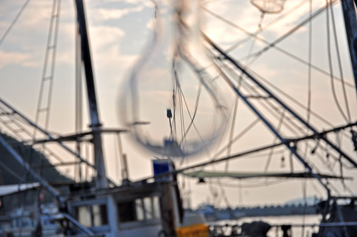 海６