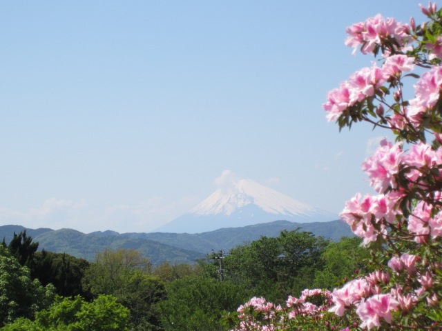 小室山　富士とツツジ (6).JPG