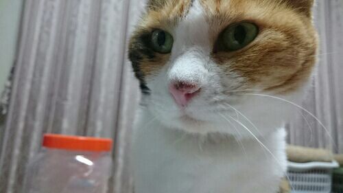 rblog-20170116213728-02.jpg