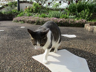 IMG_9851ss.jpg