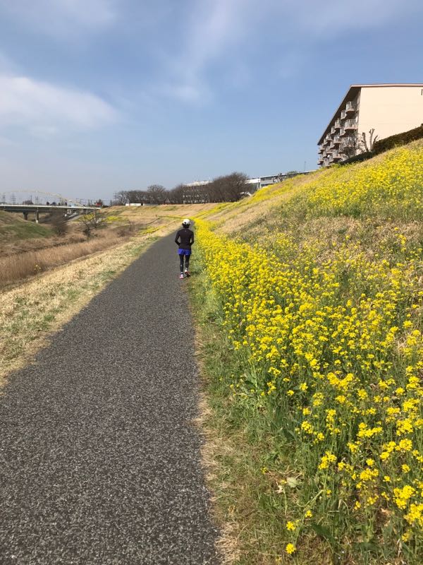 4.5キロランニング | NEXT PEAK DIARY - 楽天ブログ