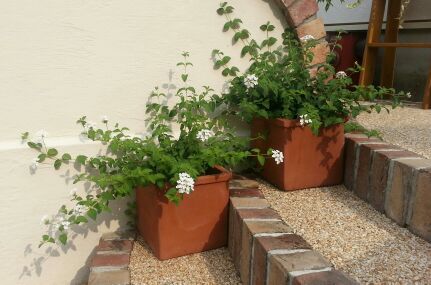 rblog-20140722210505-03.jpg