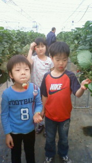 201204151002001.jpg