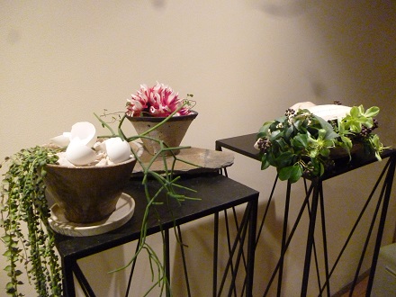 P1010175.jpg