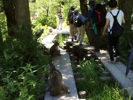 ちょっとは怖がれよ