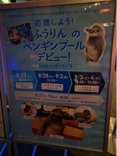 rblog-20160830114631-05.jpg